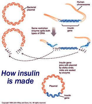 Photo: Copyright 1999 John Wiley and Sons, Inc. All rights reserved.