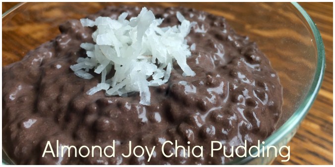 almond joy chia pudding header