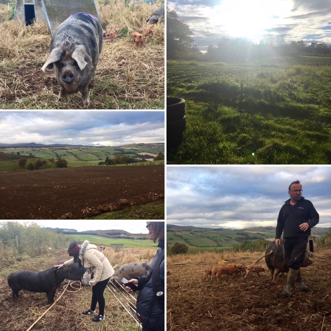 7a38f611-7fb3-4c08-a2e1-bcc8bb8dd9b2