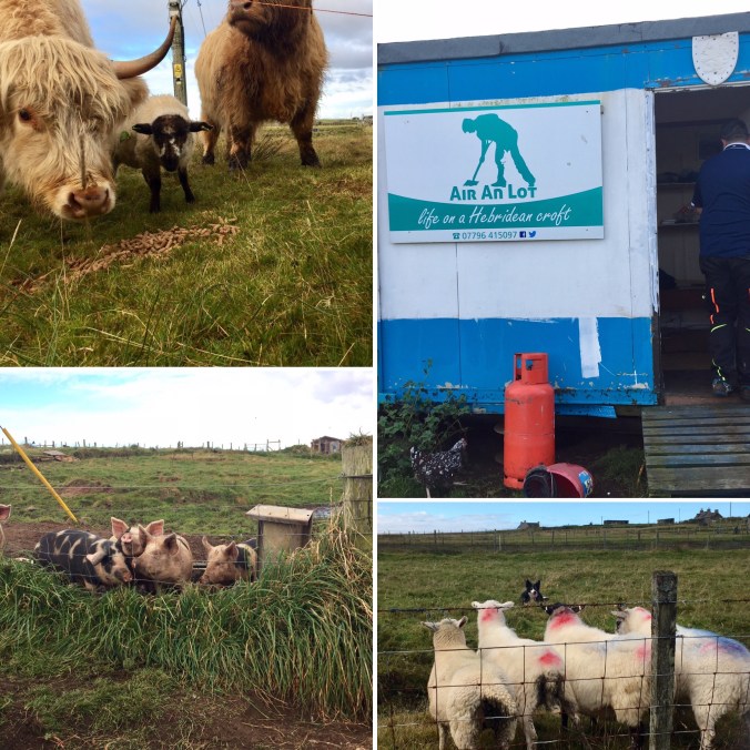 be63693e-3ad5-4a50-b892-b7d92ab871d0