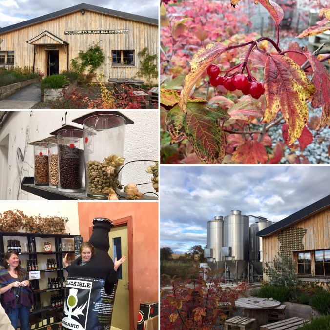 d163789f-7527-45e9-950b-e77f3e4cb666