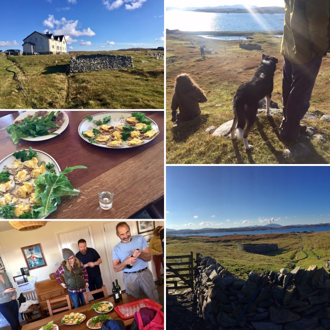 dfd73d54-5201-4761-81ae-c553d1fa08e3