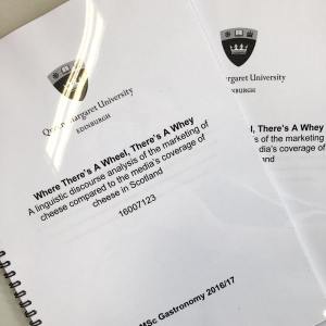 20837784_1404256452972930_8573338765353811968_n