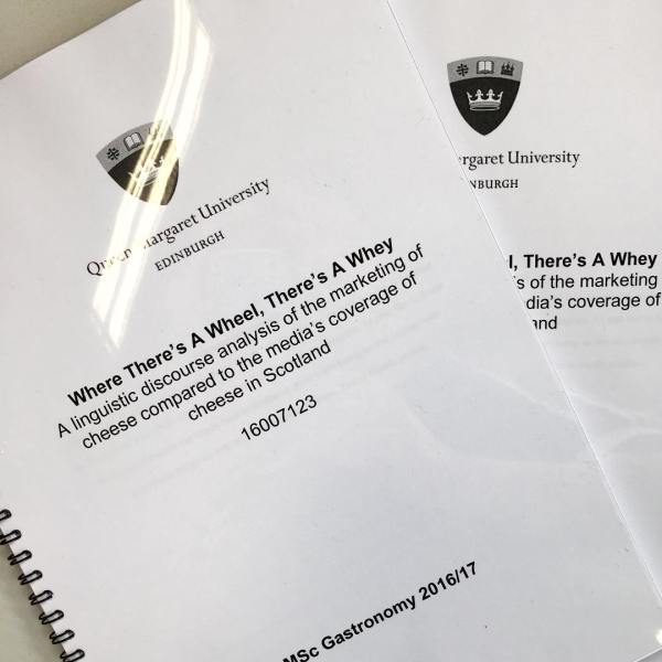 20837784_1404256452972930_8573338765353811968_n